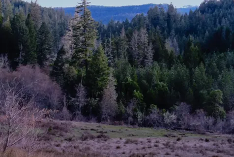 0 Cobleigh Road Butte Falls OR 97522