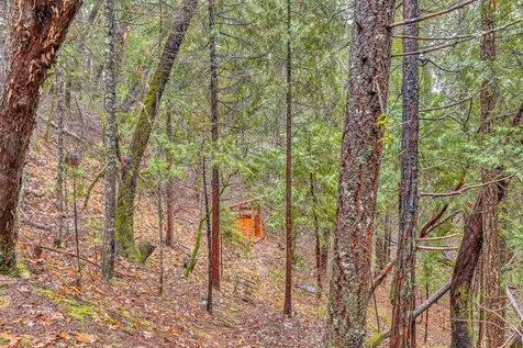 486 Tunnel Creek Road Grants Pass OR 97526