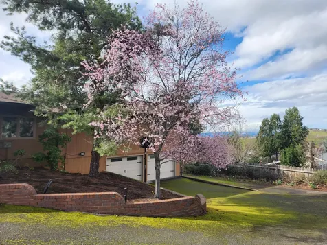 330 Harvard Place Medford OR 97504