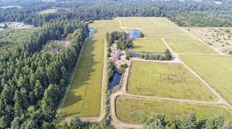 87641 E Beach Loop Lane Bandon OR 97411