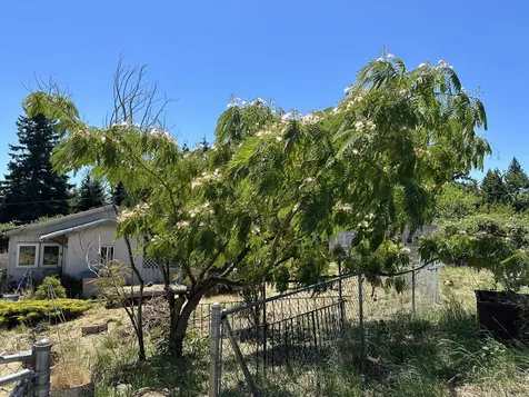 28003 S Gard Road Mulino OR 97042