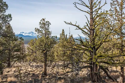 64845 Collins Road Bend OR 97703