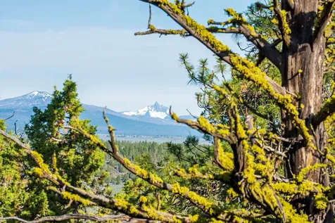 64845 Collins Road Bend OR 97703