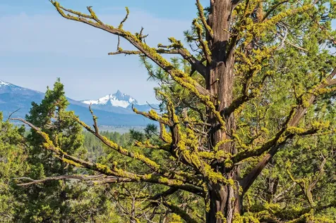 64845 Collins Road Bend OR 97703