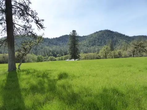 858 Missouri Flat Road Grants Pass OR 97527