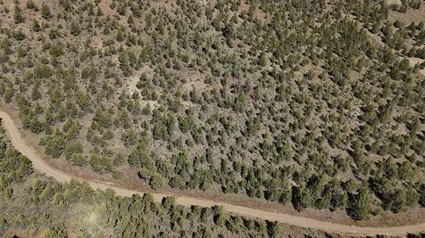 01500 SE Osprey Road Prineville OR 97754