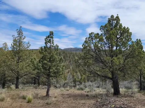 01500 SE Osprey Road Prineville OR 97754