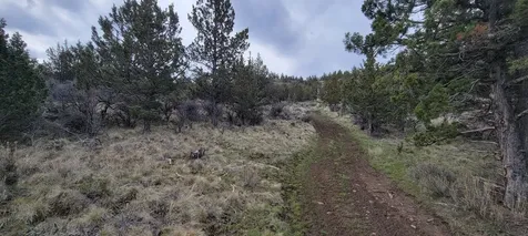 01500 SE Osprey Road Prineville OR 97754