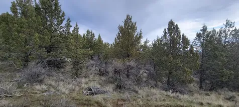 01500 SE Osprey Road Prineville OR 97754