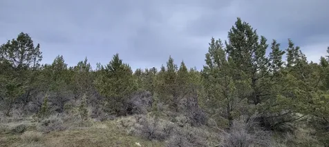 01500 SE Osprey Road Prineville OR 97754