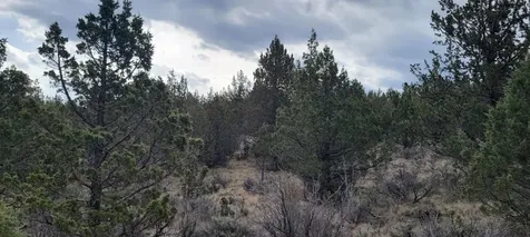 01500 SE Osprey Road Prineville OR 97754