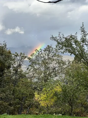 2208 Lupine Drive Ashland OR 97520