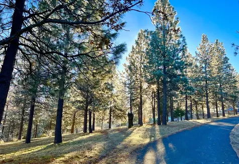 2208 Lupine Drive Ashland OR 97520