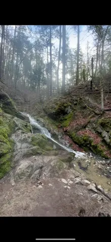 2208 Lupine Drive Ashland OR 97520