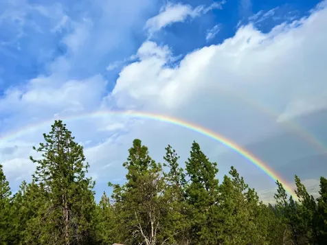 2208 Lupine Drive Ashland OR 97520