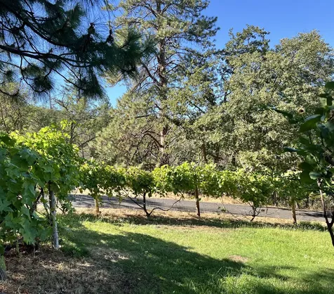 2208 Lupine Drive Ashland OR 97520