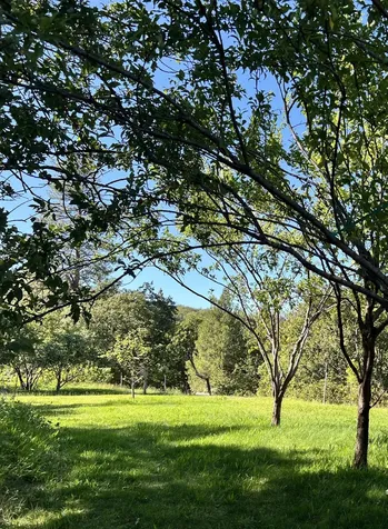 2208 Lupine Drive Ashland OR 97520