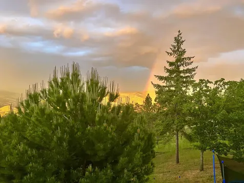 2208 Lupine Drive Ashland OR 97520