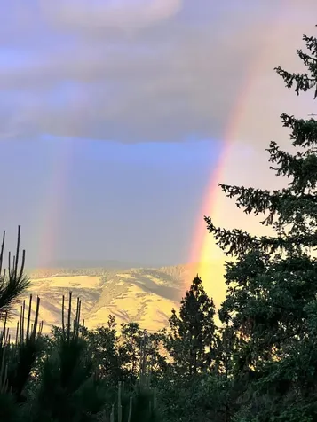 2208 Lupine Drive Ashland OR 97520