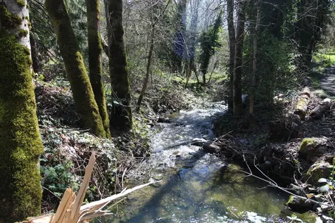 2319 Humbug Creek Road Applegate OR 97530