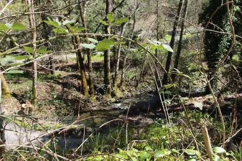 2319 Humbug Creek Road Applegate OR 97530