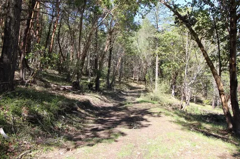 2319 Humbug Creek Road Applegate OR 97530