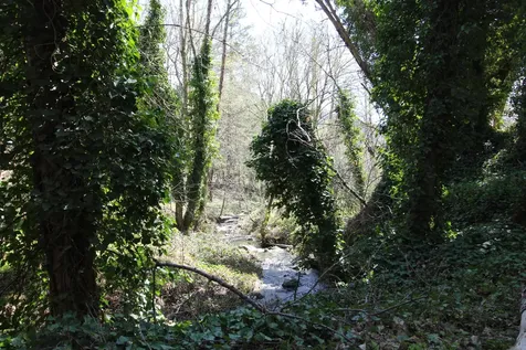 2319 Humbug Creek Road Applegate OR 97530