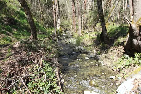 2319 Humbug Creek Road Applegate OR 97530