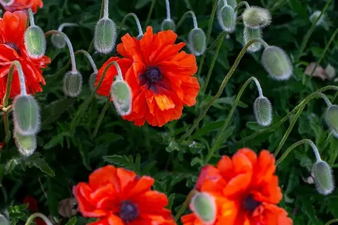 1890 NE Mckay Creek Road Prineville OR 97754