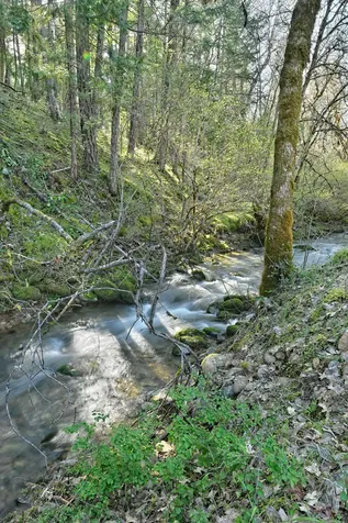 231 Fielder Creek Road Rogue River OR 97537