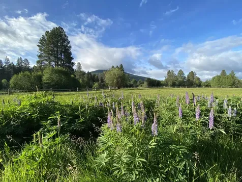 26247 SW Metolius Meadows Drive Camp Sherman OR 97730