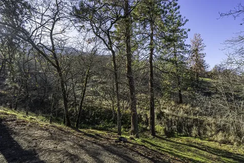 551 Grandview Drive Ashland OR 97520