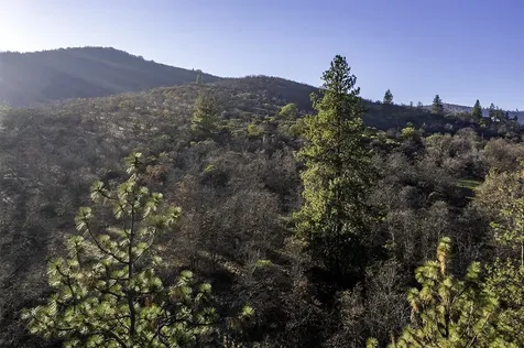 551 Grandview Drive Ashland OR 97520