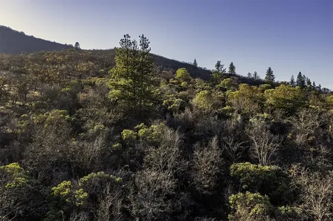 551 Grandview Drive Ashland OR 97520