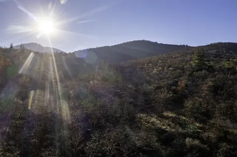 551 Grandview Drive Ashland OR 97520