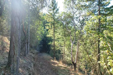 550 Thompson Creek Road Applegate OR 97530