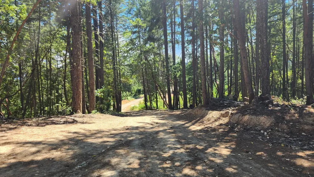 0 Quartz Creek Road Merlin OR 97532
