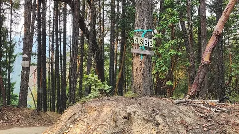 0 Quartz Creek Road Merlin OR 97532