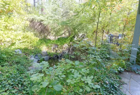 1400 E Fork Road Williams OR 97544