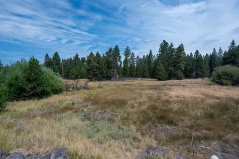 51590 Dorrance Meadow Road La Pine OR 97739