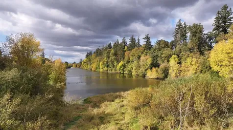 3650 Clausen Acres Lane NE Salem OR 97303