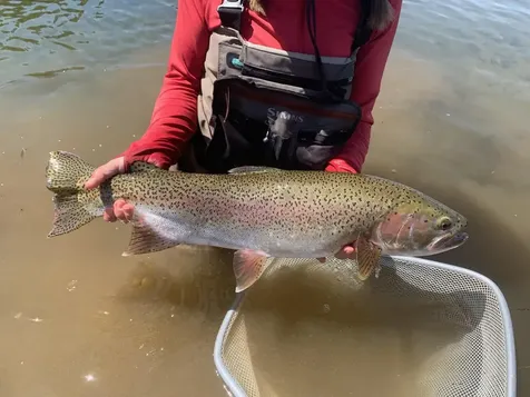 29951 Oregon Pines Road Beatty OR 97621