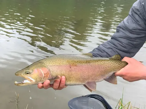 29951 Oregon Pines Road Beatty OR 97621