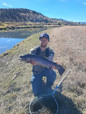 29951 Oregon Pines Road Beatty OR 97621