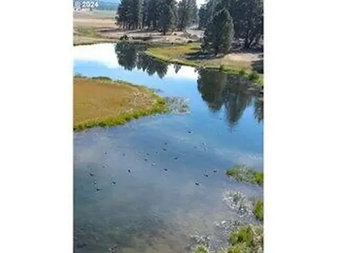 29951 Oregon Pines Road Beatty OR 97621