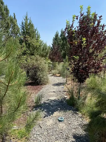 18135 4th Avenue Bend OR 97703
