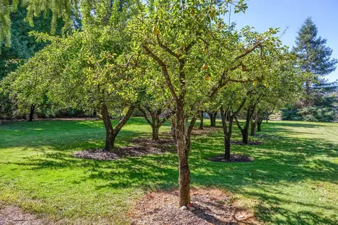 880 Rogue Wood Drive White City OR 97503