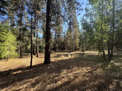 53357 Pole Pine Road La Pine OR 97739