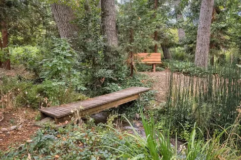 919 Bellview Avenue Ashland OR 97520