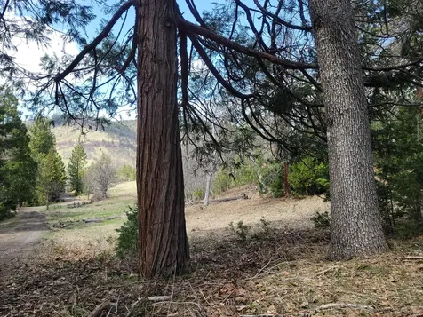 1525 Baldy Creek Road Ashland OR 97520